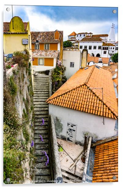 Steep Sintra Steps in old Sintra Portugal Acrylic by Steven Dale