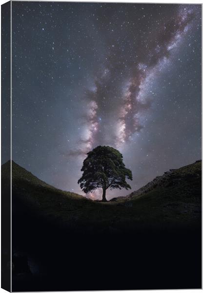 Sycamore Gap Milky Way Canvas Print by Picture Wizard