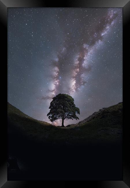 Sycamore Gap Milky Way Framed Print by Picture Wizard