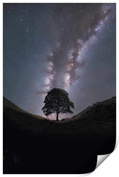 Sycamore Gap Milky Way Print by Picture Wizard