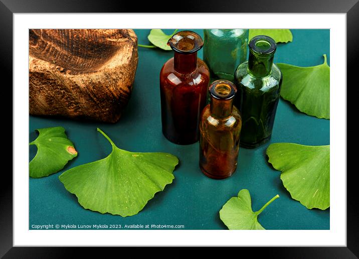 Ginkgo biloba leaves, homeopathy concept Framed Mounted Print by Mykola Lunov Mykola