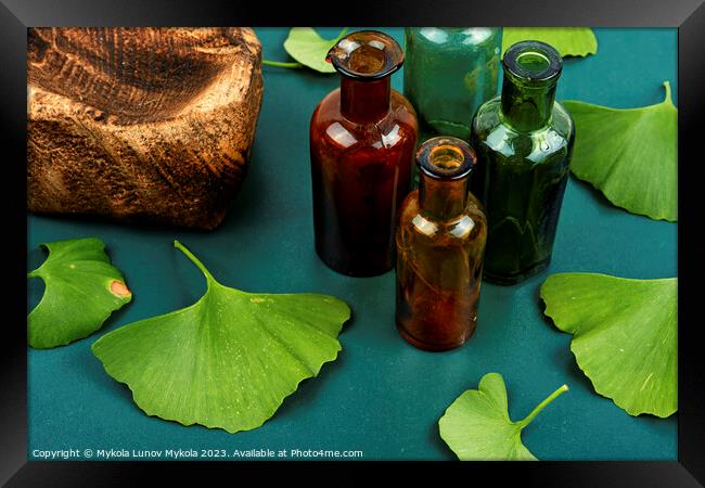 Ginkgo biloba leaves, homeopathy concept Framed Print by Mykola Lunov Mykola