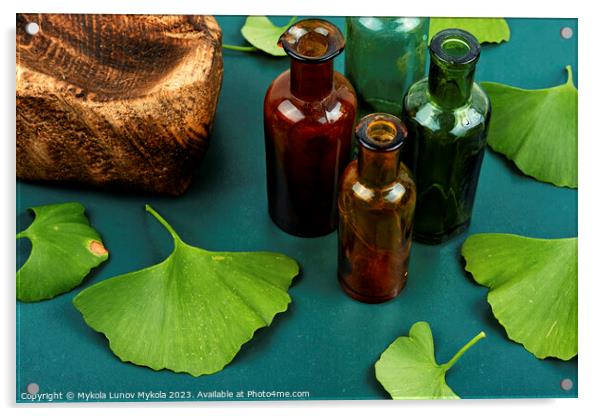 Ginkgo biloba leaves, homeopathy concept Acrylic by Mykola Lunov Mykola