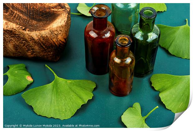 Ginkgo biloba leaves, homeopathy concept Print by Mykola Lunov Mykola