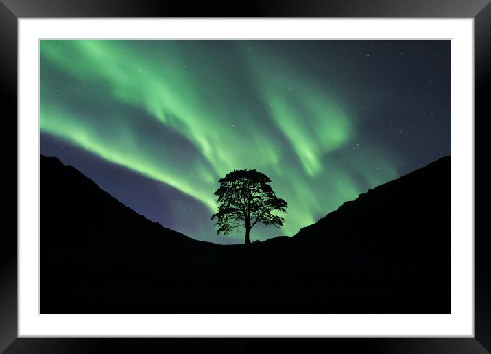 Sycamore Gap Aurora Framed Mounted Print by Picture Wizard