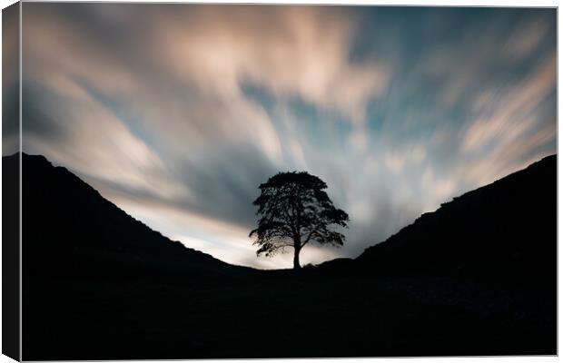 Sycamore Gap Morning Canvas Print by Picture Wizard