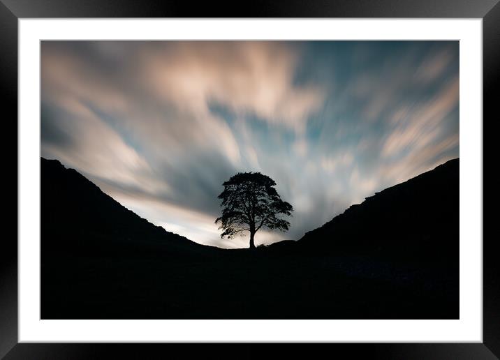 Sycamore Gap Morning Framed Mounted Print by Picture Wizard