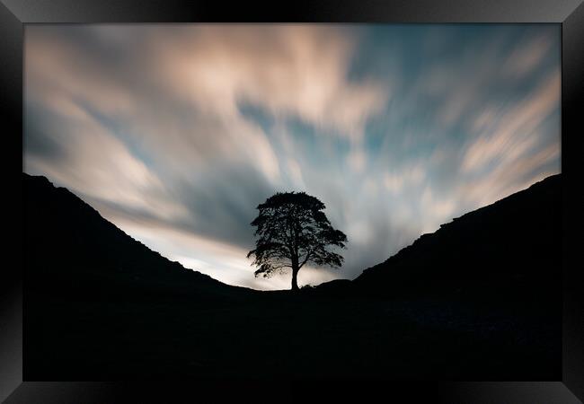 Sycamore Gap Morning Framed Print by Picture Wizard