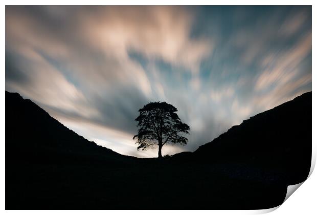 Sycamore Gap Morning Print by Picture Wizard