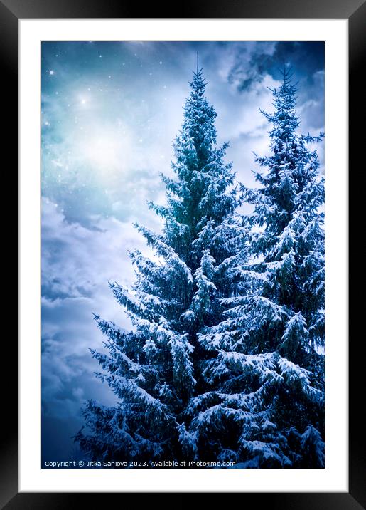 Romantic winter trees Framed Mounted Print by Jitka Saniova