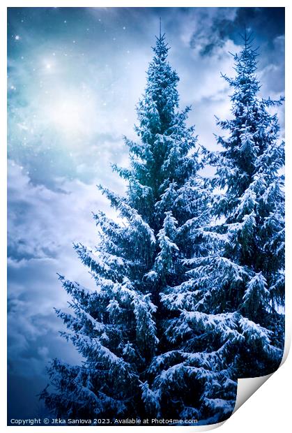 Romantic winter trees Print by Jitka Saniova