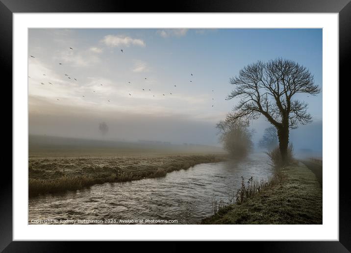 Misty Morning Framed Mounted Print by Rodney Hutchinson