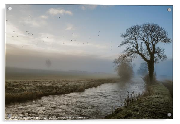 Misty Morning Acrylic by Rodney Hutchinson