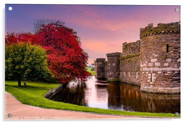 Beaumaris Castle  Acrylic by Mike Shields
