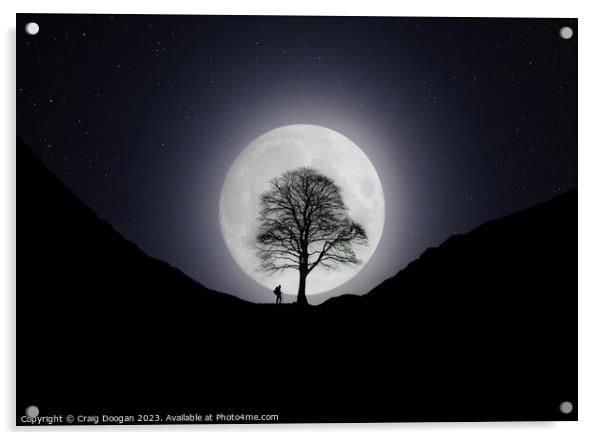 Sycamore Gap Robin Hood Tree Moonscape Acrylic by Craig Doogan