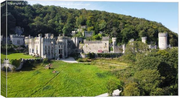 Gwrych Castle  Canvas Print by Ian Fairbrother