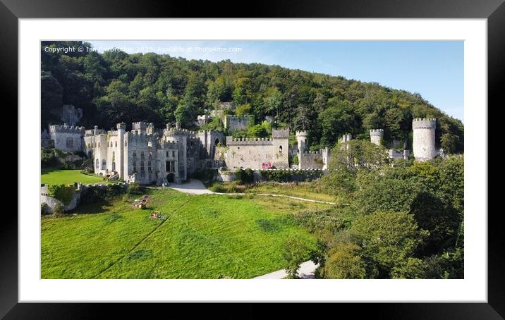 Gwrych Castle  Framed Mounted Print by Ian Fairbrother