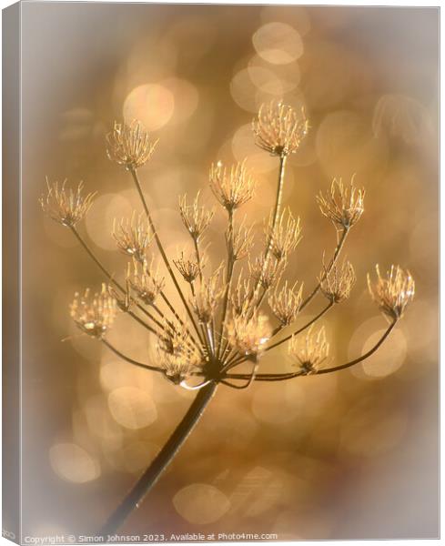 A close up of frosted grass Canvas Print by Simon Johnson