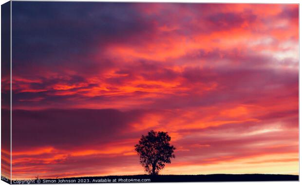 Tree silhouette at sunset Canvas Print by Simon Johnson