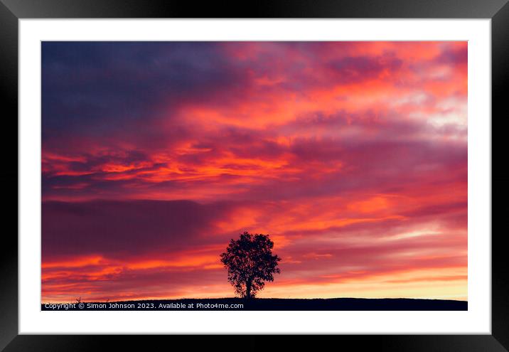 Tree silhouette at sunset Framed Mounted Print by Simon Johnson