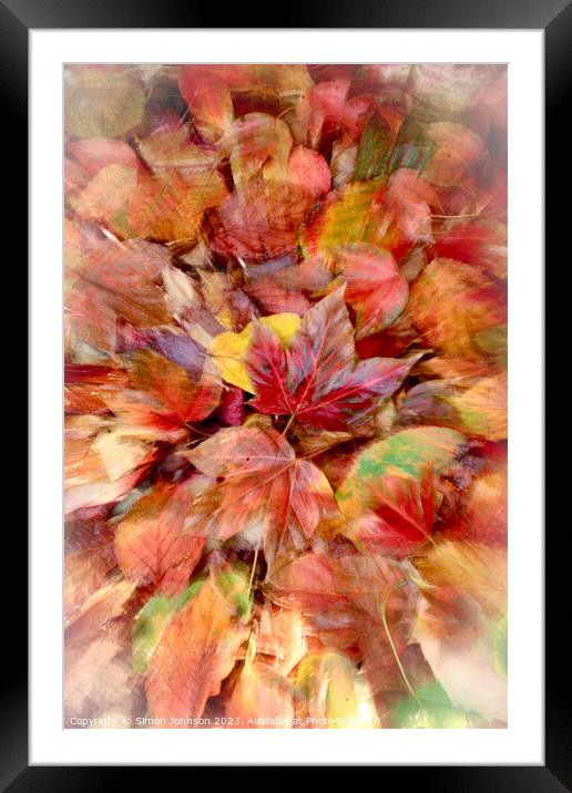 autumn leaves Framed Mounted Print by Simon Johnson