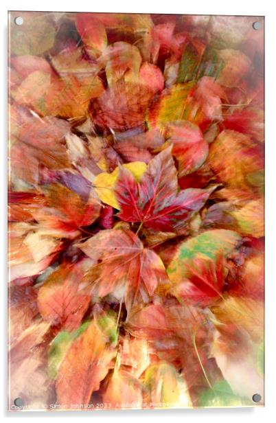 autumn leaves Acrylic by Simon Johnson