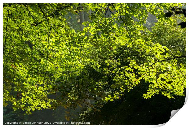 Plant tree Print by Simon Johnson