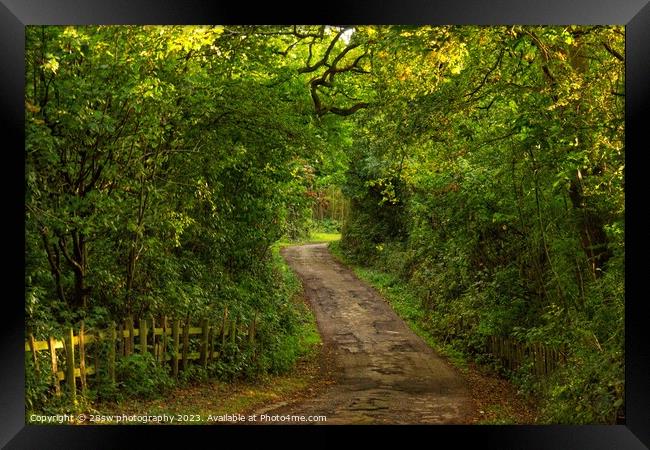 Paths to Mystery. Framed Print by 28sw photography