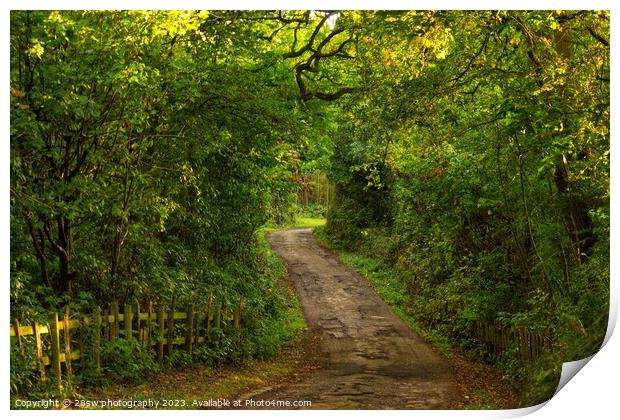 Paths to Mystery. Print by 28sw photography