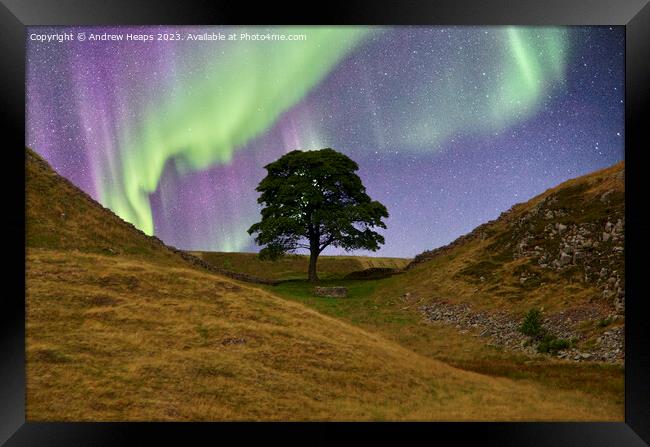 Sycamore gap with Northern lights  Framed Print by Andrew Heaps