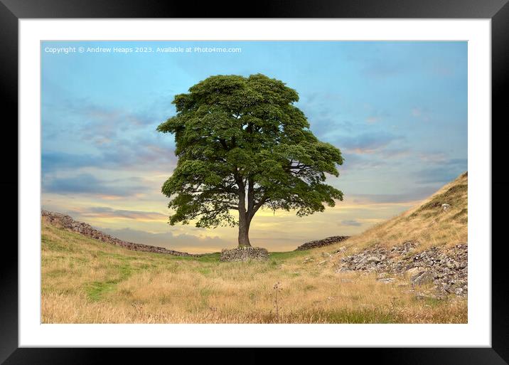 Sycamore gap  Framed Mounted Print by Andrew Heaps
