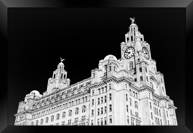 Royal Liver Building in monochrome Framed Print by Jason Wells