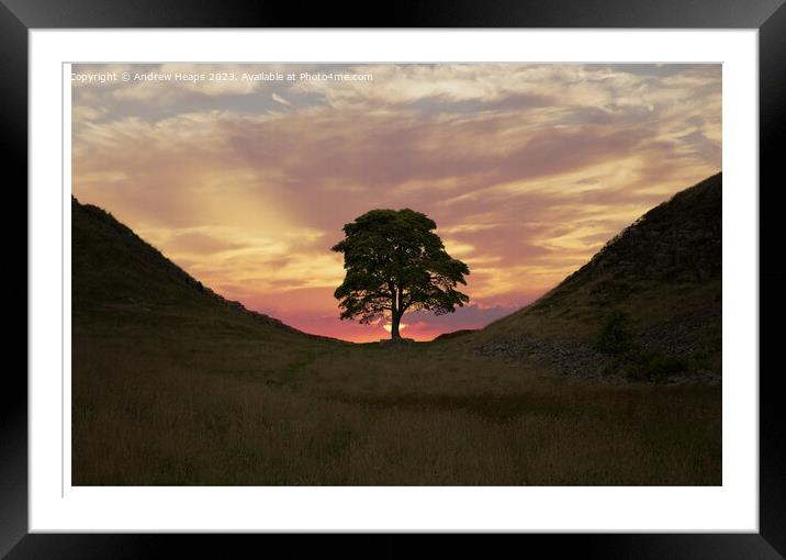 Majestic Sycamore Gap silhouette Framed Mounted Print by Andrew Heaps