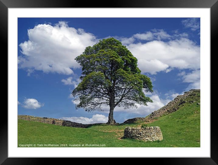  Sycamore Gap  Framed Mounted Print by Tom McPherson