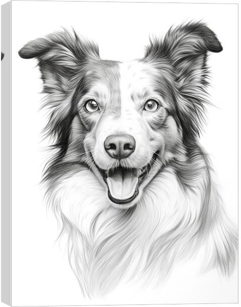 Pencil Drawing Border Collie Canvas Print by Steve Smith