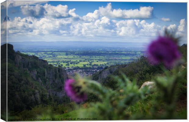 Cheddar Gorge view cliff side through the thistles  Canvas Print by Ann Biddlecombe