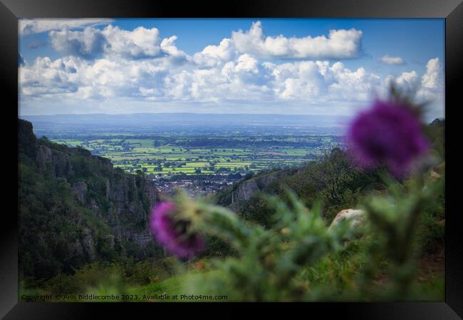 Cheddar Gorge view cliff side through the thistles  Framed Print by Ann Biddlecombe
