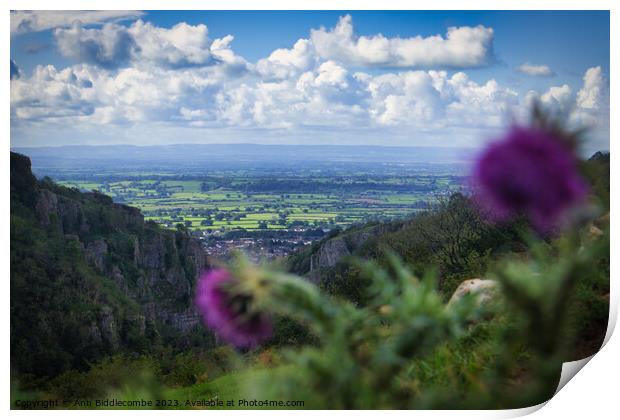 Cheddar Gorge view cliff side through the thistles  Print by Ann Biddlecombe