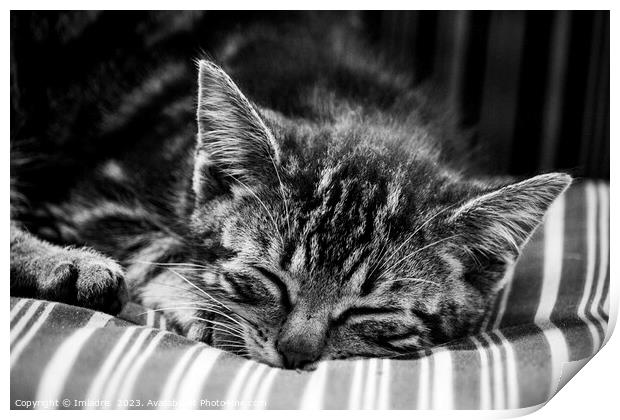 Cute Stripy Kitten Sleeping Monochrome Print by Imladris 