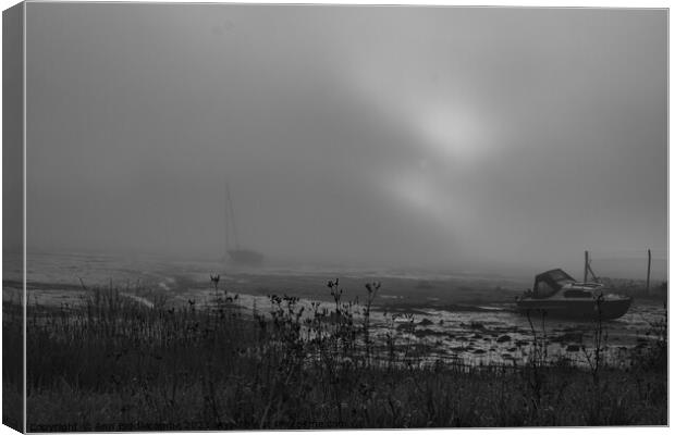 Wilcove in Torpoint on a misty morning in black and white Canvas Print by Ann Biddlecombe