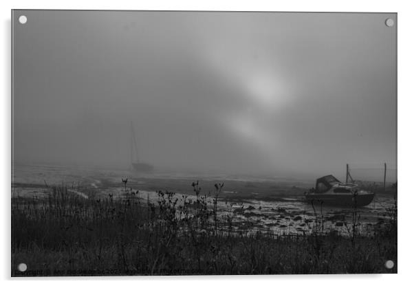 Wilcove in Torpoint on a misty morning in black and white Acrylic by Ann Biddlecombe