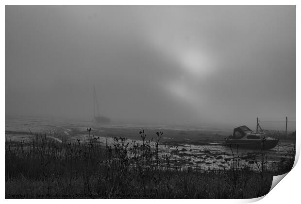 Wilcove in Torpoint on a misty morning in black and white Print by Ann Biddlecombe