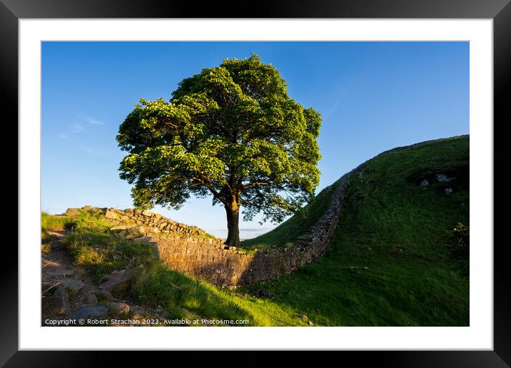 Sycamore Gap Framed Mounted Print by Robert Strachan