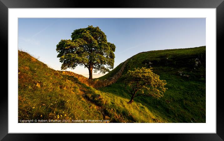 Sycamore gap Framed Mounted Print by Robert Strachan