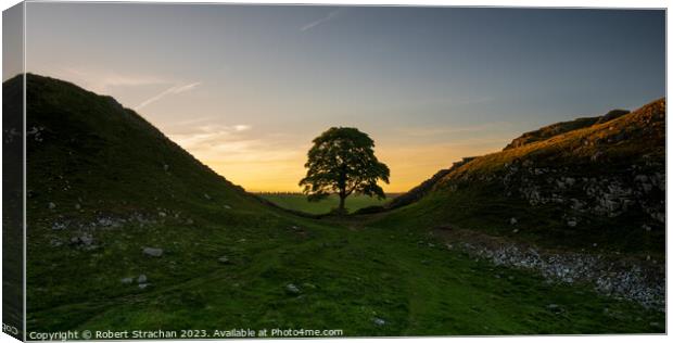Sycamore gap sunset Canvas Print by Robert Strachan
