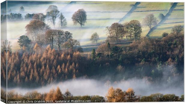 Derwent Valley at first light Canvas Print by Chris Drabble
