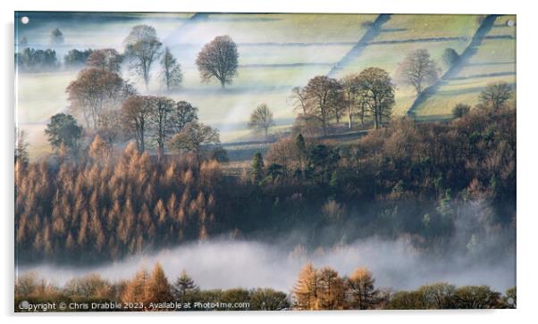 Derwent Valley at first light Acrylic by Chris Drabble