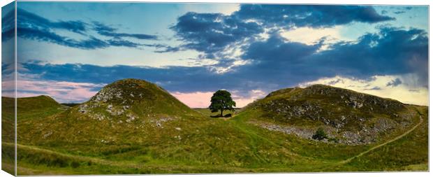 Stunning Sycamore Gap Panorama Canvas Print by Tracey Turner
