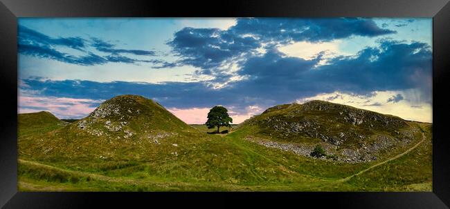 Stunning Sycamore Gap Panorama Framed Print by Tracey Turner