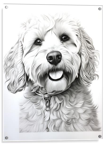 Pencil Drawing Labradoodle Acrylic by Steve Smith